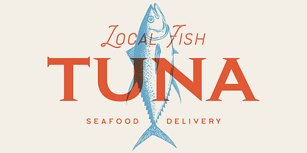 Gilt-head bream, fish, Dorado, seafood, sketch. Vintage retro print, seafood fish sketch, logo sign template, ink pencil style drawing, engrave old school. Hand drawn sketch fish. Vector Illustration