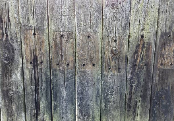 Weathered Wooden Fence, Glasgow, Scotland. Old wooden boards with varying shades of wear and color, highlighting the grain patterns and nail holes