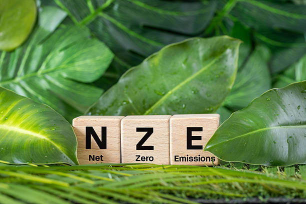 istock NZE symbol. The concept of zero emissions, which shows sustainable development. Conceptual words. Net zero emissions. Climate action. Close up. Against the backdrop of real green vegetation. 2252417883