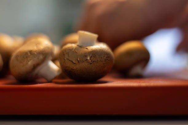 Close up view of fresh brown mushrooms arranged on a cutting board in a kitchen setting. Natural food ingredients concept with shallow depth of field and warm lighting.
