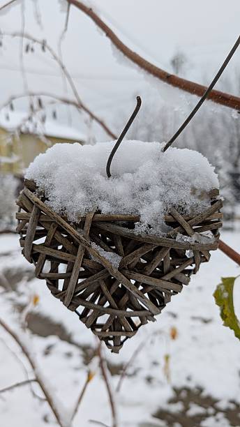 Winter themed artwork showcasing woven heartfelt symbol on snowdusted twig