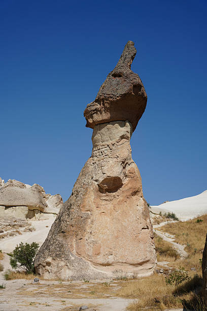 Fairy Chimney in Pasabag Valley, Nevsehir City, Turkiye