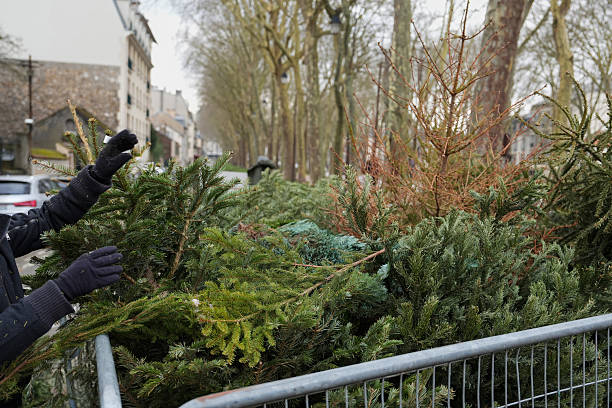 A man is is throwing away Christmas trees behind the fence
