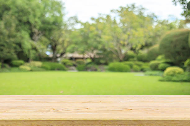 istock Empty wood table top with abstract blur park garden background 2252449123