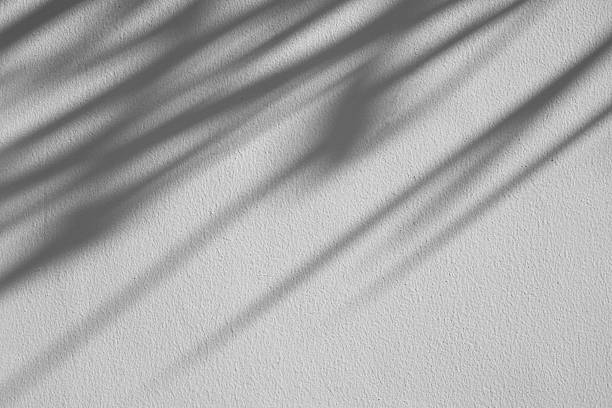 istock Abstract natural tree branch leaves shadow on white wall background 2252449801