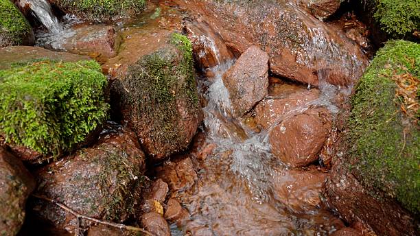Mountain rapid stream riverbed with red rocks and moss. Clean spring water flowing in vibrant nature. Zen-like water landscape.