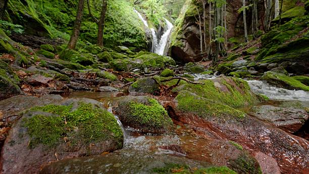 istock Majestic Waterfall In Lush Green Forest In Spring 2252450481