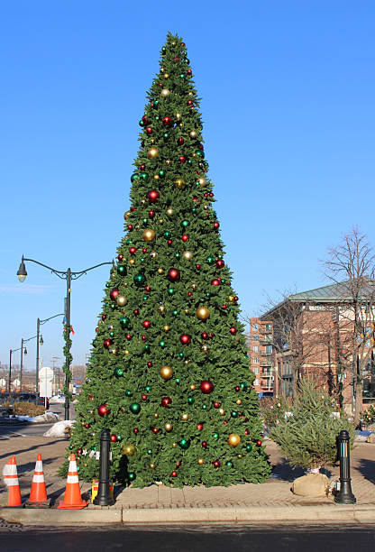 istock Tall Christmas tree in downtown Des Plaines, Illinois on a sunny day 2252462552