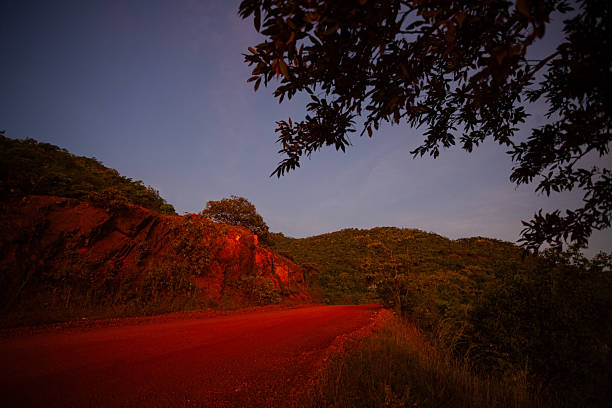 A wide landscape shot of a dirt road cutting through the Cerrado - Brasil vegetation during the dawn. The soft morning light illuminates the textured - general description ground and the native flora, capturing the essence of nature in the countryside.