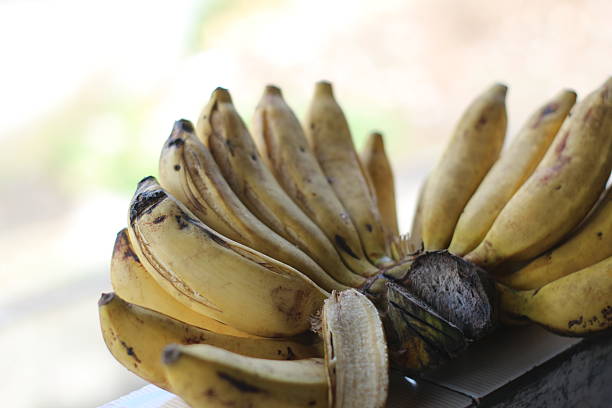 group of yellow banana on the table