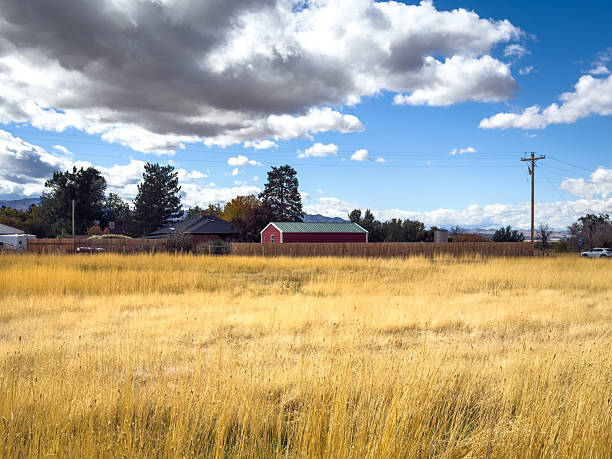 A rural scene with a barn and a shed. The barn is old and the shed is small. The sky is blue and the sun is shining