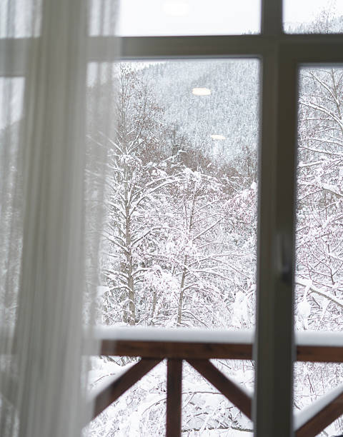 View from a window during snow event