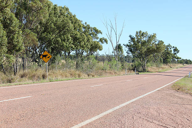 istock Gregory Developmental Road quiet country highway with grass, trees and a livestock crossing sign in Queensland, Australia 2252478879