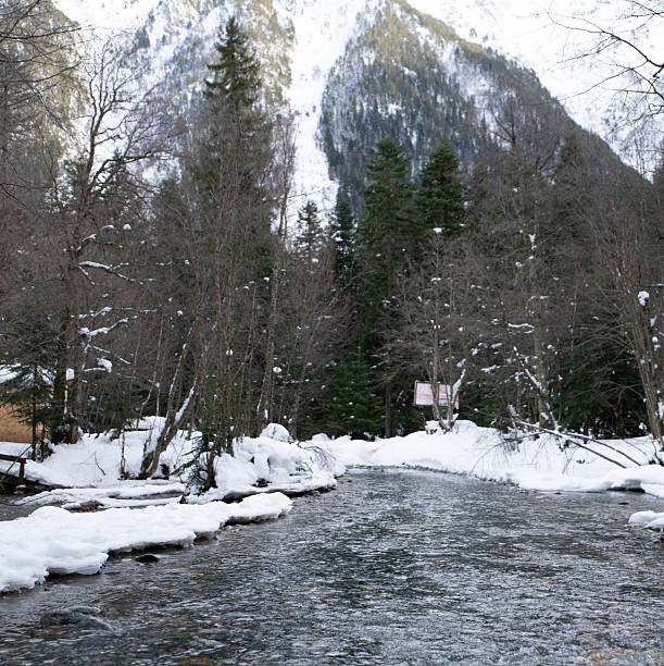 A river flows through a snowy landscape, surrounded by trees and mountains in winter.