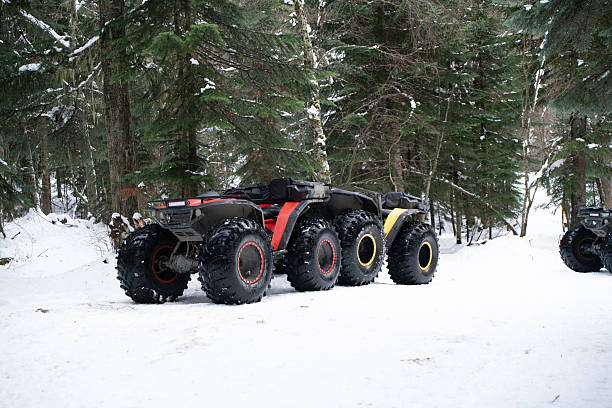 Two off-road vehicles parked in a snowy forest with tall trees surrounding them.