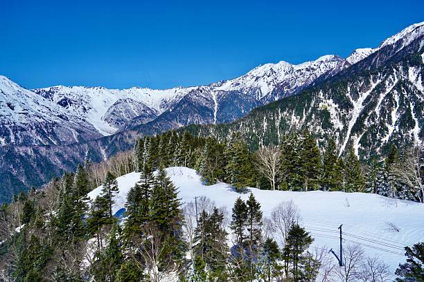 istock Panoramic view of a snow-covered mountain range under a vibrant, clear blue sky, featuring a foreground of evergreen trees on a snowy hilltop in a pristine winter wilderness. 2252481568