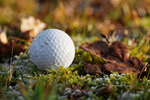 A pleasant golf course with beautiful greenery