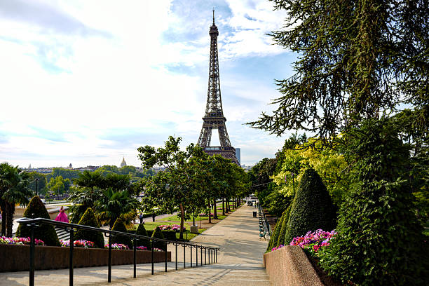 Peaceful morning view of the Eiffel Tower in Paris, seen from a garden path surrounded by trees, flowers, and manicured bushes.