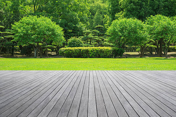 istock Empty boardwalk on green grass field with lush garden background 2252486900