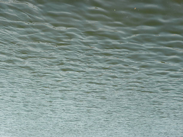 glare on water in city park pond at day