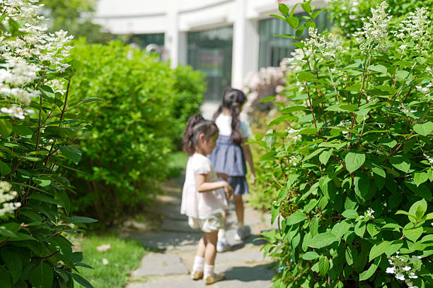 Two little girls walking through a garden. One is wearing a white dress. The other is wearing a blue dress