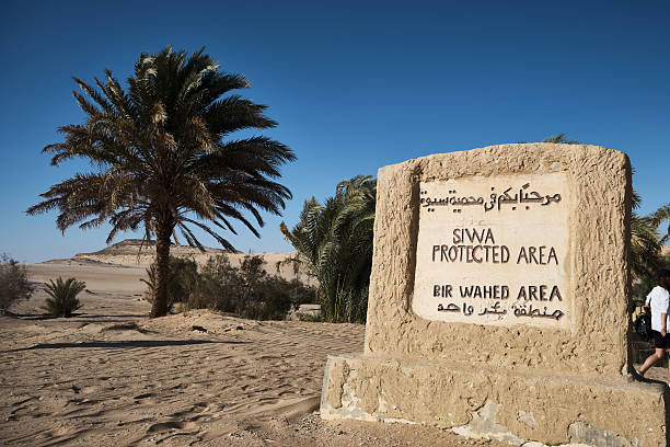 istock Bir Wahed protected area near Siwa Oasis 2252493268