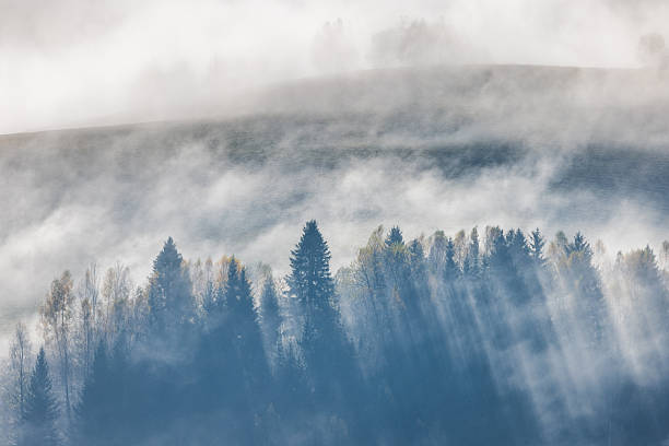 istock Misty mountain forest with sun rays filtering through the trees. A serene nature scene shrouded in fog and soft light. 2252500214