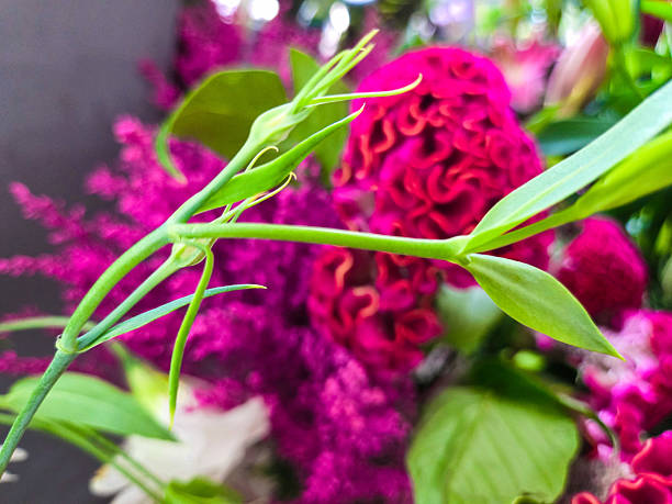 Perfect flowers and bouquets on photo