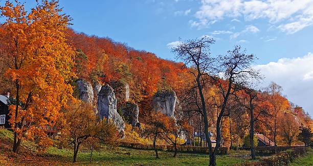 Autumn in Kraków-Częstochowa Upland