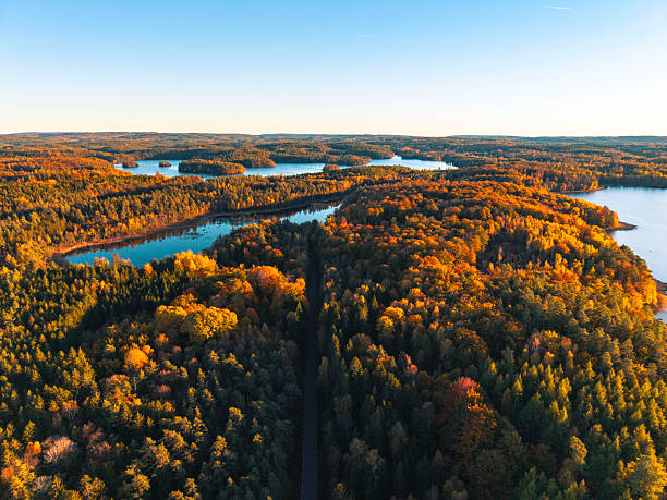 istock Lake from above, beautiful autumn colors. From drone 2252509224