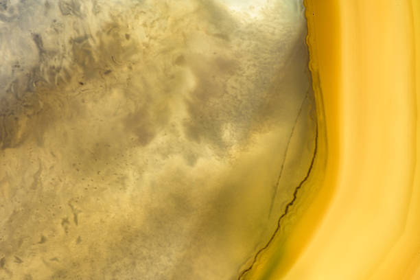 Ripples of Olive Oil