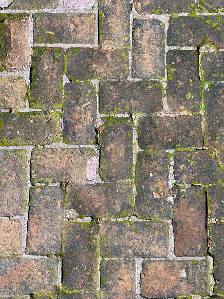 Weathered Red Brick Pavement Texture Covered in Green Moss