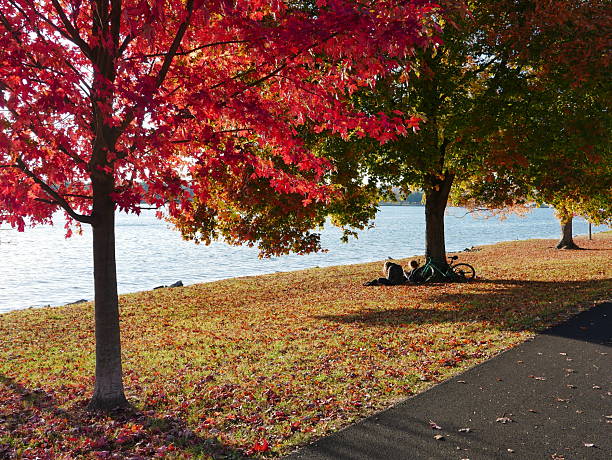 istock Friends Under Autumn Trees 2252514732