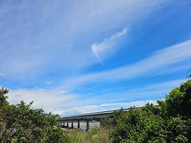 Concrete bridge spanning the Hokitika river, framed by green shrubs and grasses beneath a bright blue sky, captured in a natural outdoor landscape. Light cloud patterns form track-like markings across the sky.