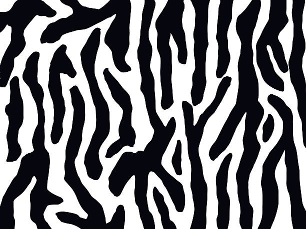 istock Zebra stripe pattern. For fashion prints, home decor, digital backgrounds, and creative branding projects 2252522409