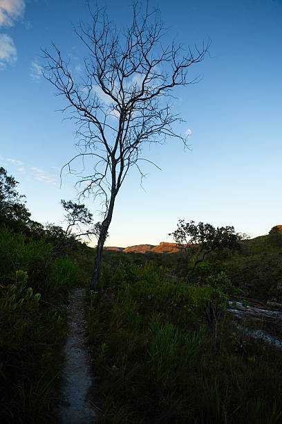 istock Winter Sunset in Chapada dos Veadeiros with River and Mountains 2252522502