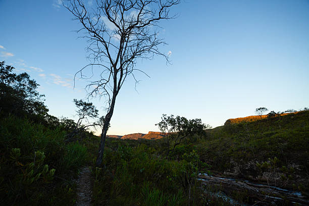 istock Winter Sunset in Chapada dos Veadeiros with River and Mountains 2252522503