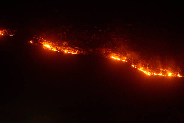 istock Night View of a Wildfire in Chapada dos Veadeiros 2252522504