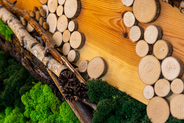 istock Natural Wood Slice And Moss Decor. Rustic Texture Background. Branches Pinecone Detail 2252523333