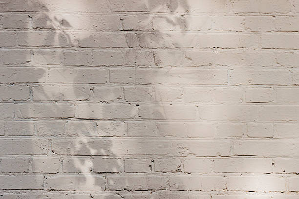 istock White painted brick wall with natural leaf shadows and soft light play, creating warm organic background in Cloud Dancer color tones. Calmness, nature, minimalism, lifestyle design 2252524013