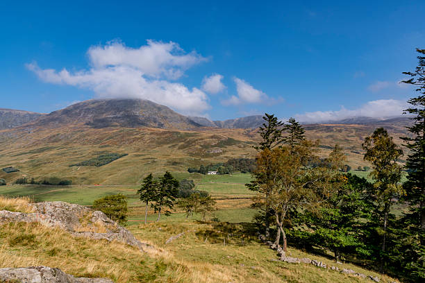 istock Breathtaking Glen Clova Landscape With Rolling Hills, Trees, And Blue Sky 2252526768