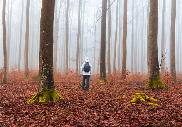 istock Man with backpack walking through beech forest in misty fog. Czech calm landscape 2252529054