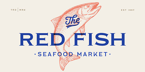Salmon fish seafood, label. Vintage retro print, seafood salmon fish sketch, logo sign tag label template, pencil style drawing, engrave old school. Hand drawn sketch salmon fish. Vector Illustration