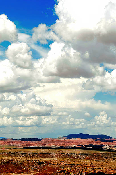 istock Bleak Landscape Petrified Forest National Park Arizona 2252534278