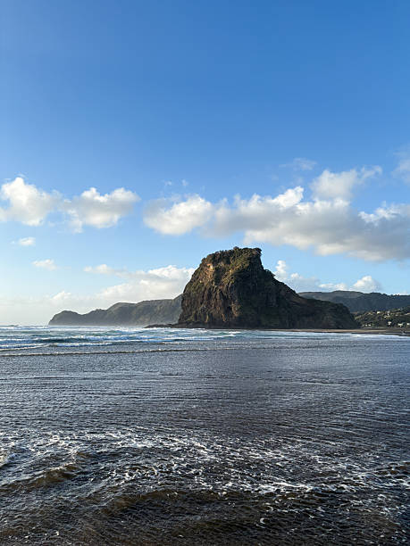 istock Lion Rock Piha Beach 2252538836