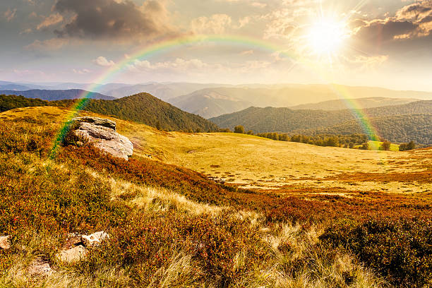 istock landscape with grassy meadow at sunset 2252544582