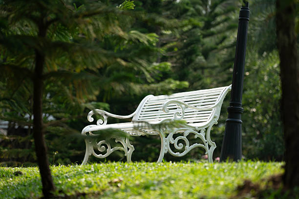 Romantic vintage white metal bench on a green lawn surrounded by pine trees. Peaceful garden atmosphere with soft natural lighting and beautiful blurred background scenery.