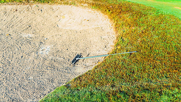 golfball in the Bunker golf course