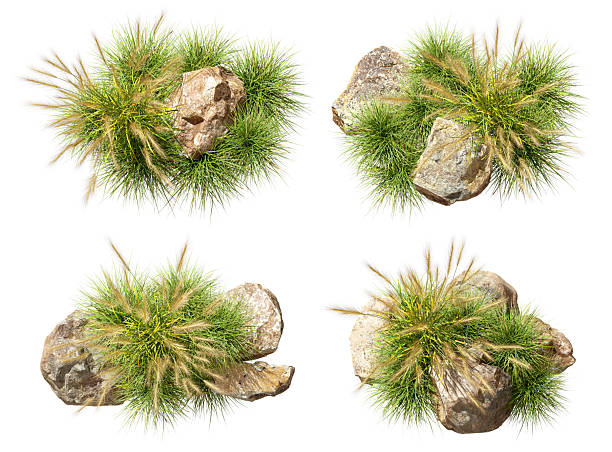 istock Aerial view flower grass with stones group set on white backgrounds 3d rendering 2252553687