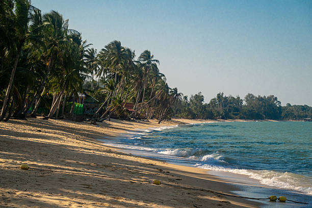 istock Palm-lined sandy beach on Koh Samui island 2252553778